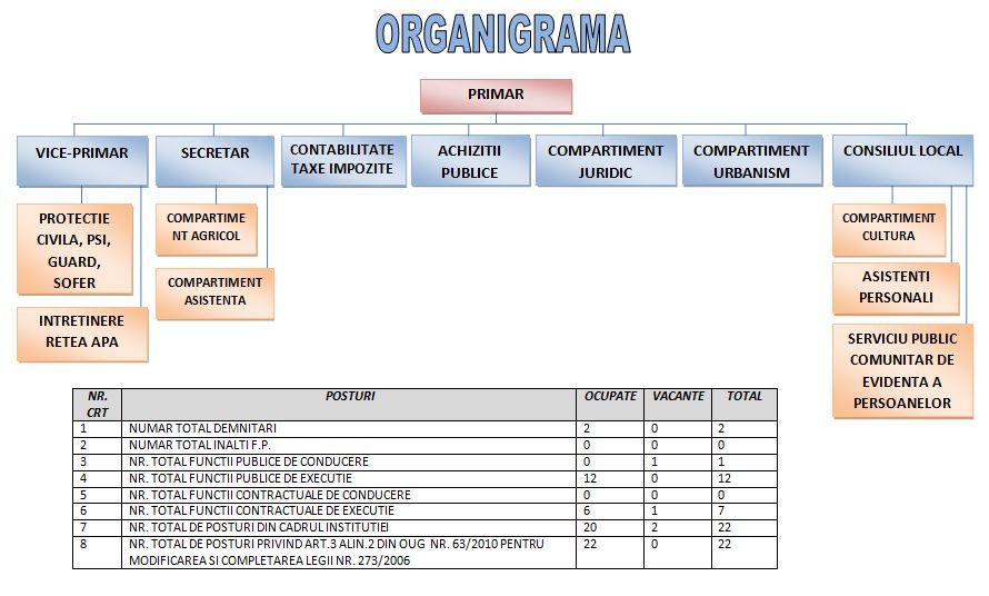 organigrama