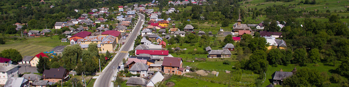 Poze Slide 5
